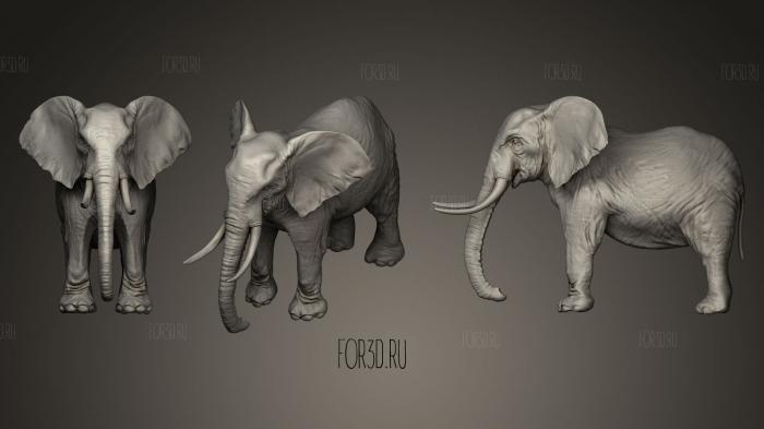 Elephant 3d stl model for CNC